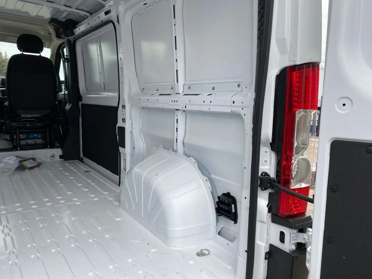 RAM Promaster снимка RAM Promaster