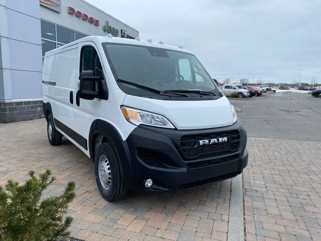 RAM Promaster снимка RAM Promaster