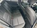 Kia Picanto 1.2 ISG Allwetter Shz Lhz Navi - thumbnail 4