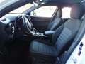 Alfa Romeo Stelvio Q4 2.2 TD Super Business 190cv auto (KM. 38.258) Bianco - thumbnail 9