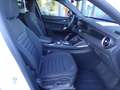 Alfa Romeo Stelvio Q4 2.2 TD Super Business 190cv auto (KM. 38.258) Bianco - thumbnail 12