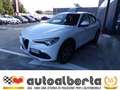 Alfa Romeo Stelvio Q4 2.2 TD Super Business 190cv auto (KM. 38.258) Bianco - thumbnail 3