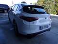 Alfa Romeo Stelvio Q4 2.2 TD Super Business 190cv auto (KM. 38.258) Bianco - thumbnail 6