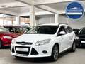 Ford Focus Turnier SYNC 1.HAND*NEU ZAHNRIEMEN+SERVICE Blanco - thumbnail 2