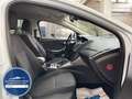 Ford Focus Turnier SYNC 1.HAND*NEU ZAHNRIEMEN+SERVICE Blanco - thumbnail 17