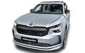 Skoda Kodiaq Selection 2.0 TSI 150 kW DSG 4x4 150 kW (204 PS... - thumbnail 1