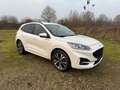 Ford Kuga Plug-In Hybrid ST-Line X Leder Automatik Weiß - thumbnail 3