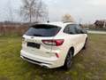 Ford Kuga Plug-In Hybrid ST-Line X Leder Automatik Weiß - thumbnail 5