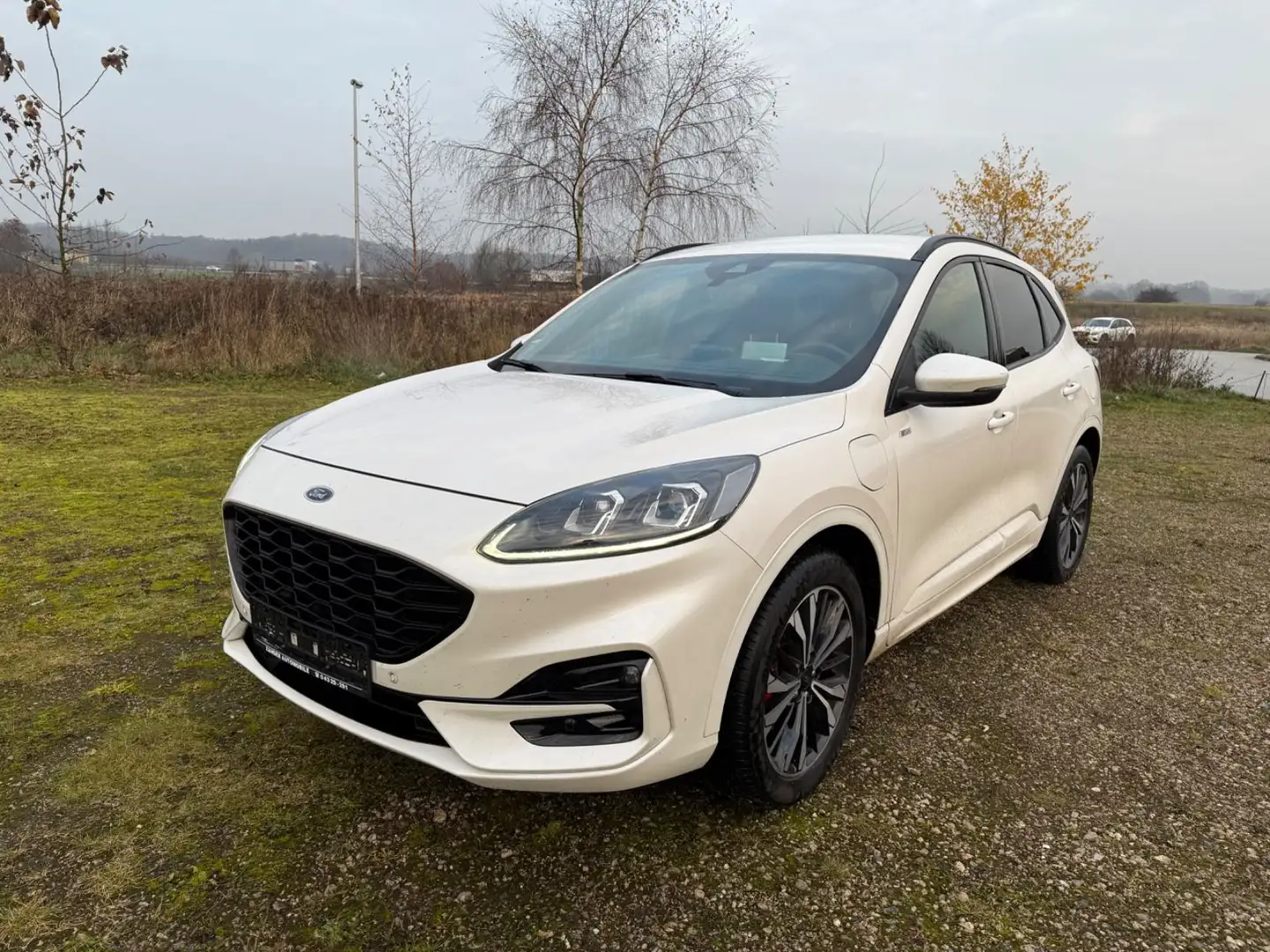 Ford Kuga Plug-In Hybrid ST-Line X Leder Automatik Weiß - 2