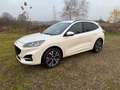 Ford Kuga Plug-In Hybrid ST-Line X Leder Automatik Weiß - thumbnail 1