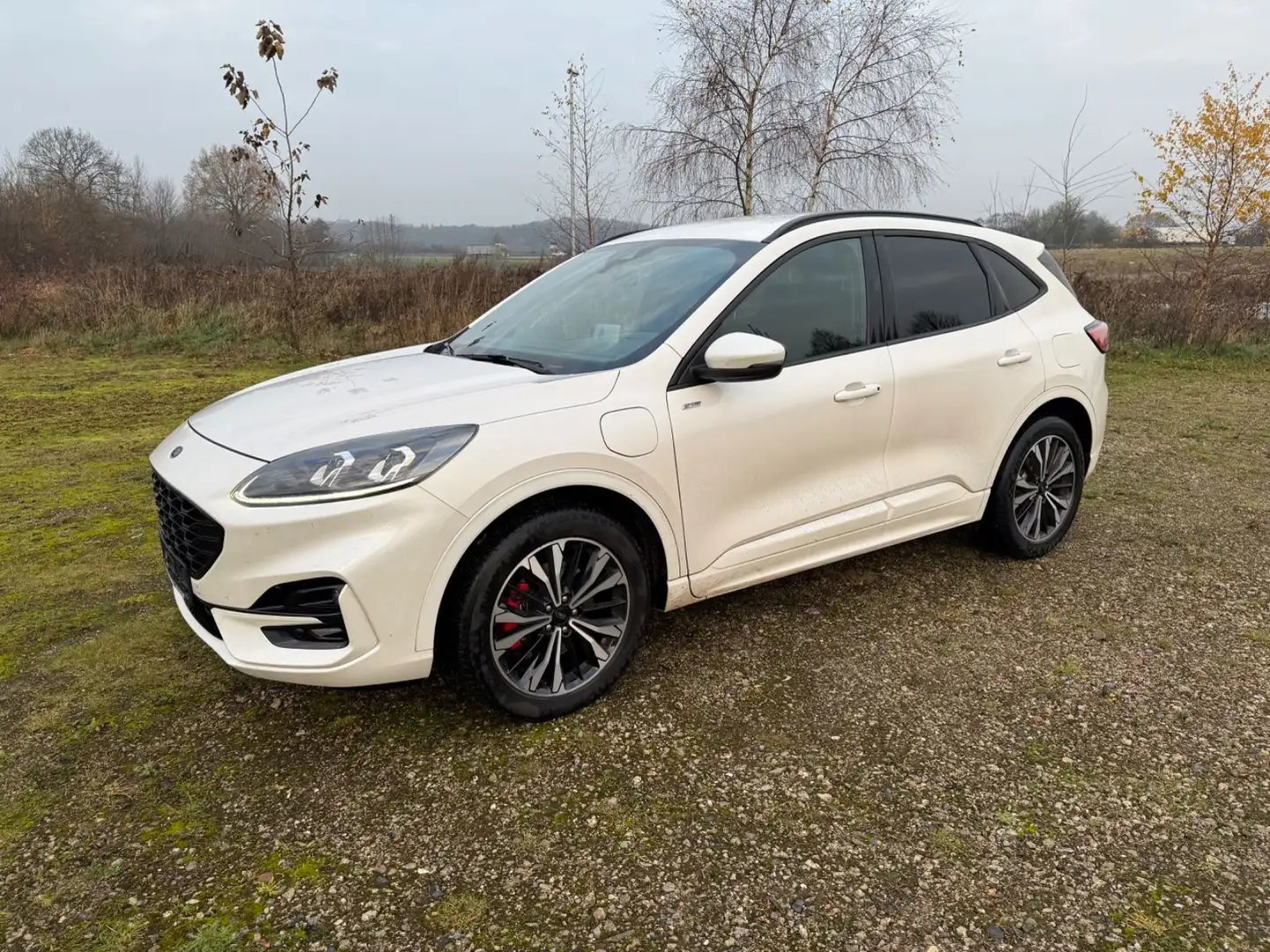 Ford Kuga Plug-In Hybrid ST-Line X Leder Automatik Weiß - 1