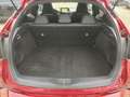 Toyota C-HR 1,8 Hybrid C-LUB Rot - thumbnail 17