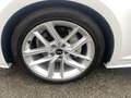 Audi A5 40 TDI qu. S line ACC S-SITZ NAV KAM eKLAPPE Weiß - thumbnail 10