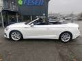 Audi A5 40 TDI qu. S line ACC S-SITZ NAV KAM eKLAPPE Weiß - thumbnail 5