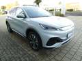 BYD Atto 3 Design 60kWh  *360-Grad*Privacy*Leder* Wit - thumbnail 5