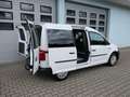Volkswagen Caddy 1,4 NGT Erdgas+Benzin SORTIMO Stand+Sitzheizung 1H Weiß - thumbnail 4