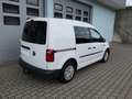 Volkswagen Caddy 1,4 NGT Erdgas+Benzin SORTIMO Stand+Sitzheizung 1H Weiß - thumbnail 15