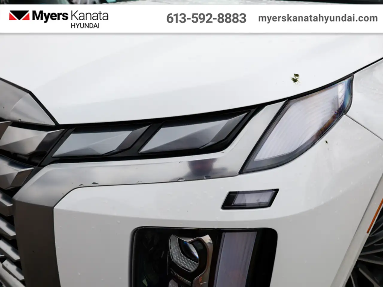 Hyundai PALISADE снимка Hyundai PALISADE