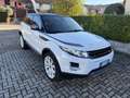 Land Rover Range Rover Evoque Range Rover Evoque 2.2 td4 UNICO PROPRIETARIO Blanc - thumbnail 3