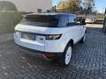 Land Rover Range Rover Evoque Range Rover Evoque 2.2 td4 UNICO PROPRIETARIO Blanc - thumbnail 4