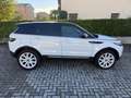 Land Rover Range Rover Evoque Range Rover Evoque 2.2 td4 UNICO PROPRIETARIO Blanc - thumbnail 7