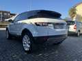 Land Rover Range Rover Evoque Range Rover Evoque 2.2 td4 UNICO PROPRIETARIO Blanc - thumbnail 6