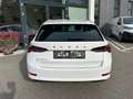 Skoda Octavia Combi 2,0 TDI Style DSG Weiß - thumbnail 3