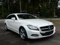 Mercedes-Benz CLS CLS250 CDI Shooting Brake SDach Kamera Navi Blanc - thumbnail 3