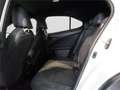 Lexus UX 250h Premium 2WD - thumbnail 16