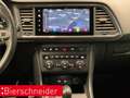 CUPRA Ateca 2.0 TSI DSG 4Dr AB 345EUR AHK PANO BEATS SHZ Grün - thumbnail 20