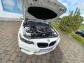 BMW 240 M240i Coupé Glasdach DAB Leder M Sportbremse Blanco - thumbnail 12