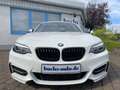 BMW 240 M240i Coupé Glasdach DAB Leder M Sportbremse Blanco - thumbnail 13