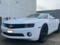 Chevrolet Camaro Blanco - thumbnail 1