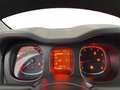 Fiat Panda Panda III 2021 Cross Panda 1.0 firefly hybrid Cit - thumbnail 15