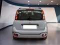 Fiat Panda Panda III 2021 Cross Panda 1.0 firefly hybrid Cit - thumbnail 5