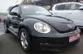 Volkswagen Beetle Cabriolet Basis BMT Schwarz - thumbnail 3