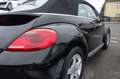 Volkswagen Beetle Cabriolet Basis BMT Schwarz - thumbnail 6