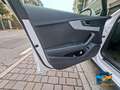 Audi A4 allroad 40 2.0 tdi 190cv s-tronic Weiß - thumbnail 43