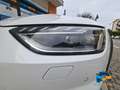 Audi A4 allroad 40 2.0 tdi 190cv s-tronic Weiß - thumbnail 26