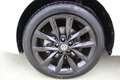 Volkswagen Polo 1.4 TDI 5p. Comfortline Weiß - thumbnail 20