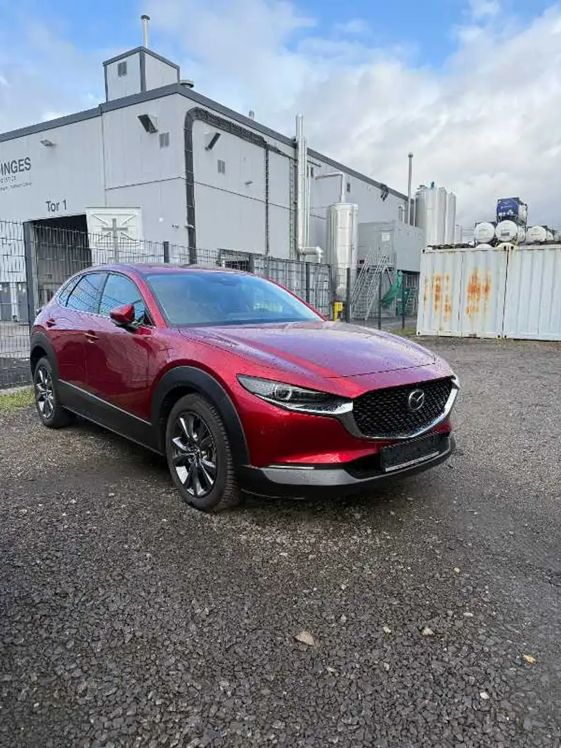 Mazda CX-30 2.0 Rosso - 2