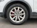 Volkswagen T-Roc 1,5 TSI ACT Sport DSG/ACC Weiß - thumbnail 15