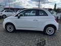 Fiat 500 C 1.0 GSE Hybrid Dolcevita Weiß - thumbnail 8