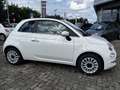 Fiat 500 C 1.0 GSE Hybrid Dolcevita Weiß - thumbnail 4