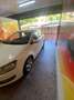 Volkswagen Polo Polo 1.6TDI Advance DSG 90 Advance Blanco - thumbnail 21