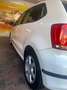 Volkswagen Polo Polo 1.6TDI Advance DSG 90 Advance Blanco - thumbnail 13