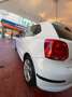 Volkswagen Polo Polo 1.6TDI Advance DSG 90 Advance Blanco - thumbnail 5