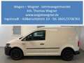 Volkswagen Caddy Kasten Flex 1.0 TSI 75KW 102PS Klima AHK Weiß - thumbnail 1