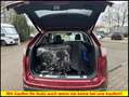 Ford Edge Titanium Leder Kamera Sitze belüftet 4x4 Allrad N Lilla - thumbnail 14
