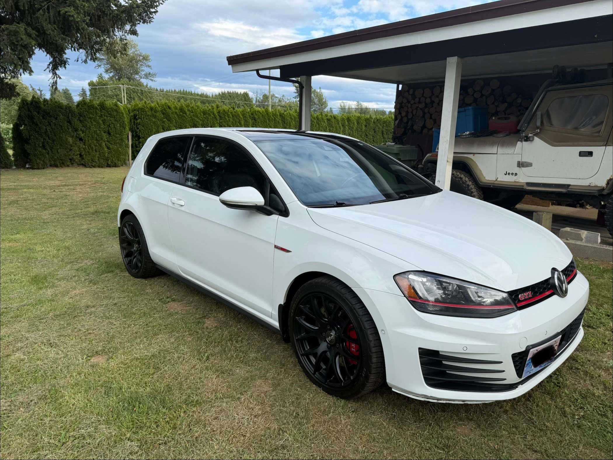 2016 Volkswagen Golf GTI Performance alt 2